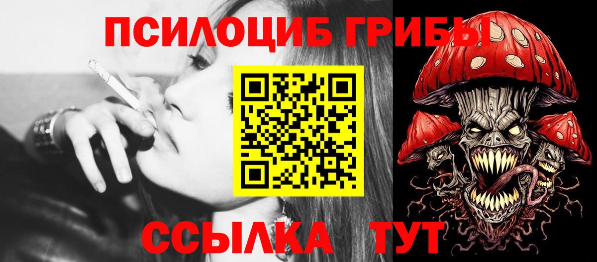 Тула  купить   Вход с VPN  Псилоцибиновые грибы Psilocybine cubensis 